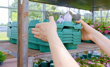 Euro Plant Tray – Des Standards pour un Secteur Plus Efficace