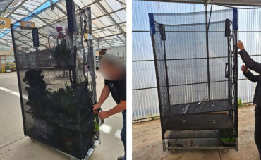 Les housses réemployables pour rolls de fleurs : une solution durable et rentable