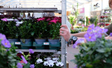 Euro Plant Tray (EPT) – actualités et avancées
