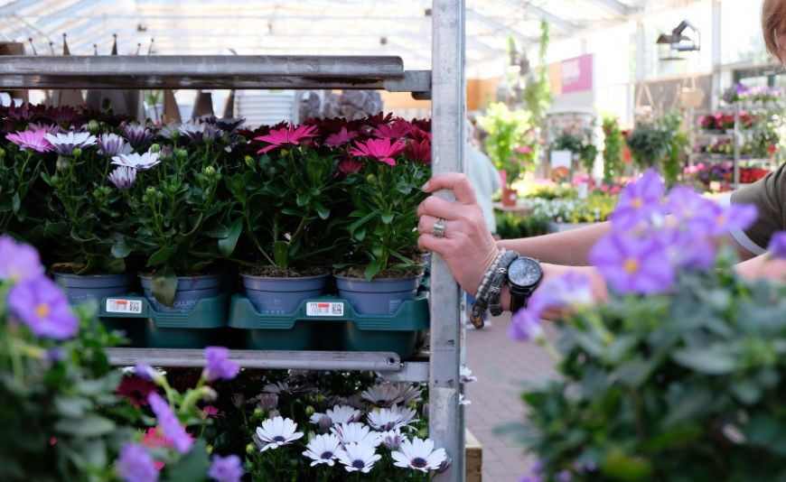 Euro Plant Tray (EPT) – actualités et avancées